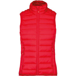 Bodywarmer Femme Doudoune L&eacute;g&egrave;re Tours