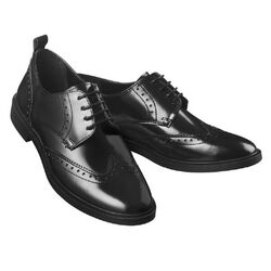 Derbies Claris Tours